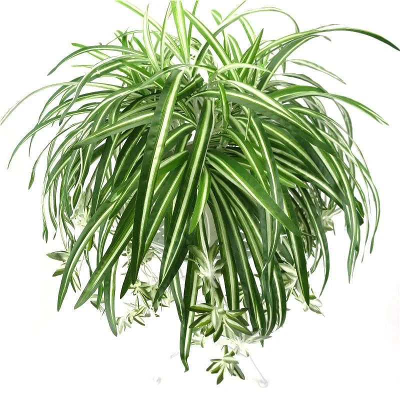 plantes artificielles fougères vertes extérieures décoration végétale arches tropicales feuillets blancsétales longues