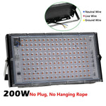 lampe croissance led full spectrum 50w 100w 200w 300w noir clips moderne