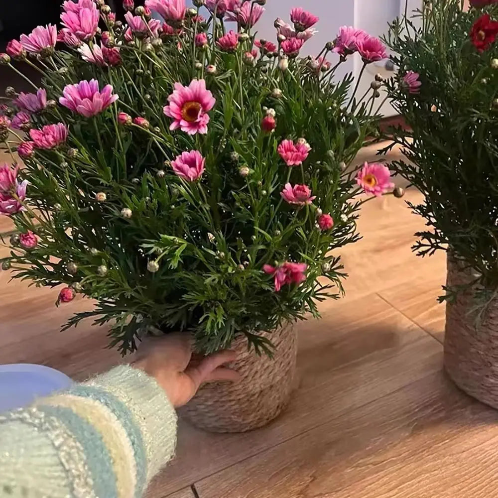 pot fleurs tissé fibres naturelles rustique boho chic rangement extérieur mini small medium large