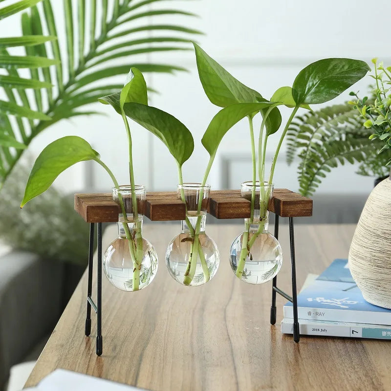 vase verre transparent support bois industriel moderne plante hydroponique décoration intérieure minimaliste