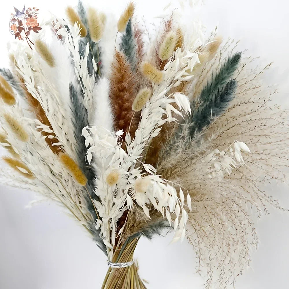 fleurs séchées naturelles bouquet bohème décoration maison blanc beige gris rustique anniversaire mariage