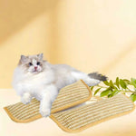 tapis chat moderne beige tissé résistant jouet interactif minimaliste