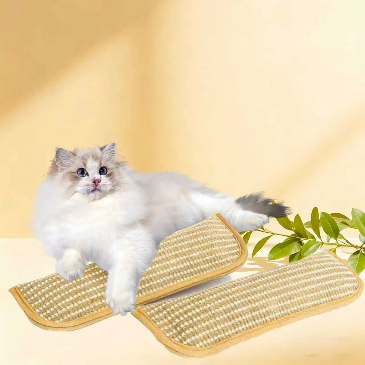 tapis chat moderne beige tissé résistant jouet interactif minimaliste
