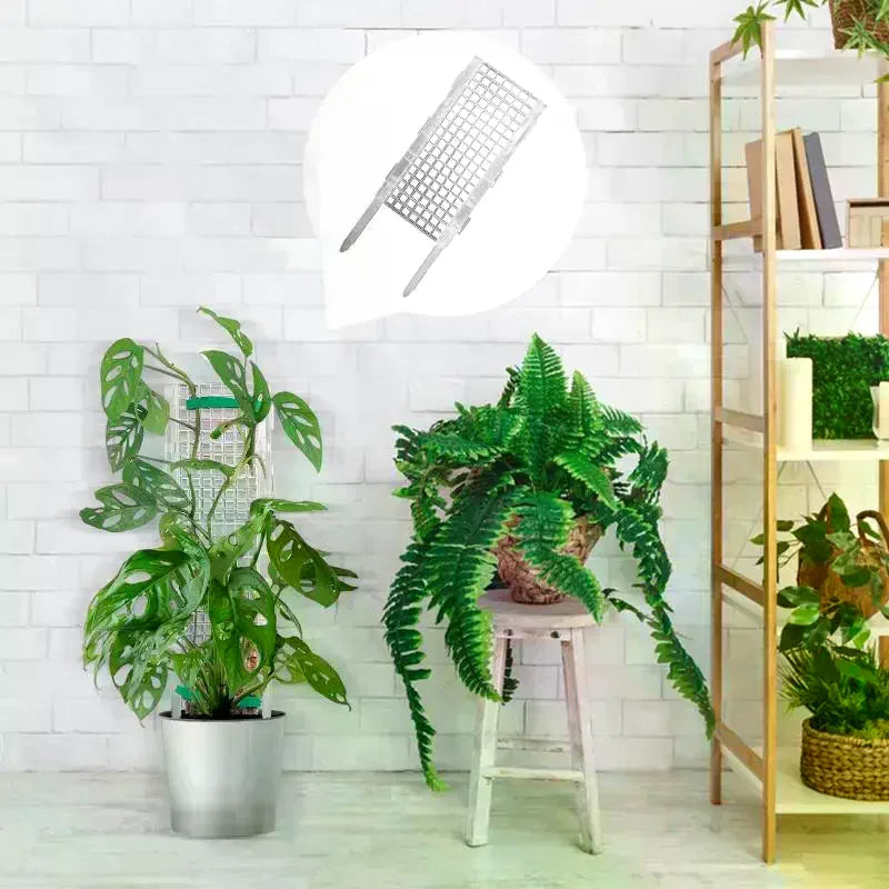 support plante structure rectangulaire plastique transparent grille pieds métalliques fixations jardinière plantes grimpantes decorationintérieur