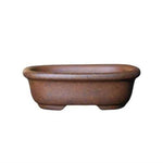 Pot bonsaï argile marron texture gréseuse motifs géométriques classique rustique fleur plante verte décoration