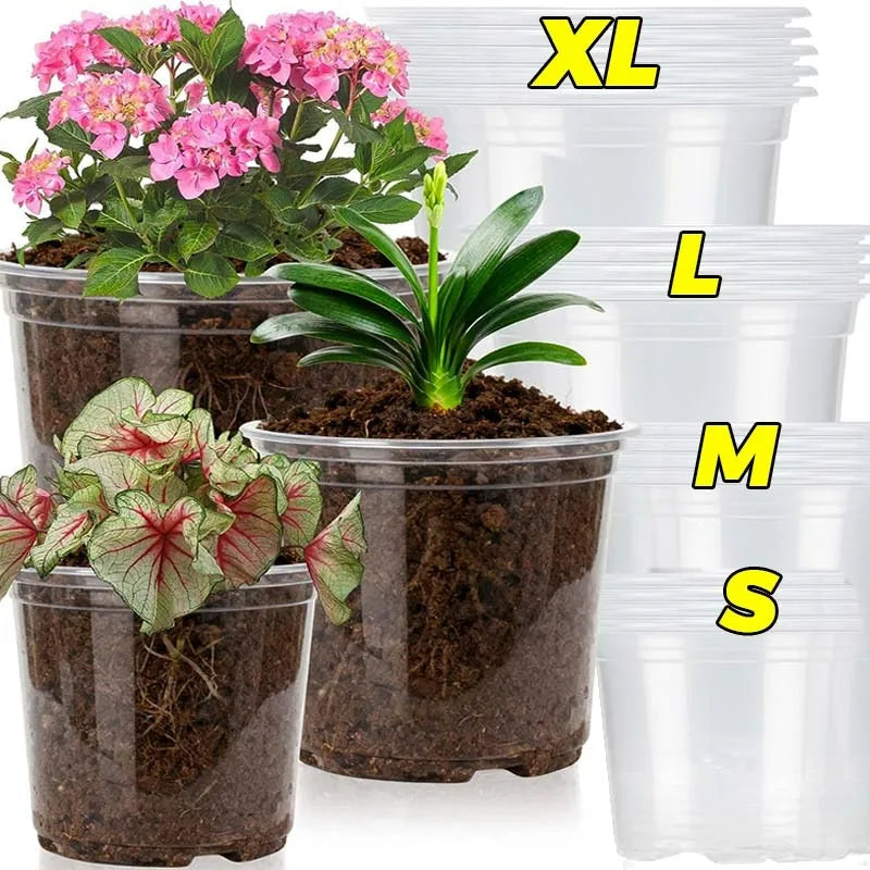 pots fleurs transparents modernes drainage holes ensemble plantes herbes cactus