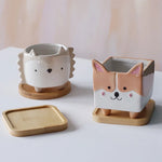 assiettes support plantes bois naturel moderne rustique motifs plantes blanc