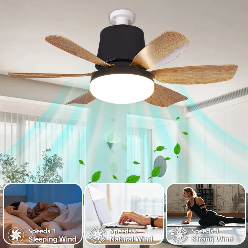 ventilateur led télécommande luminosité minuterie moderne noir bois naturel minimaliste