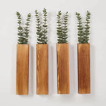 jardinière murale bois plantes vertes vase suspendu minimaliste support mural salon decoration