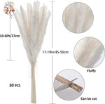 plumes pampas séchées blanches décorations fleurs naturelles rustiques mariage maison intérieur bouquet