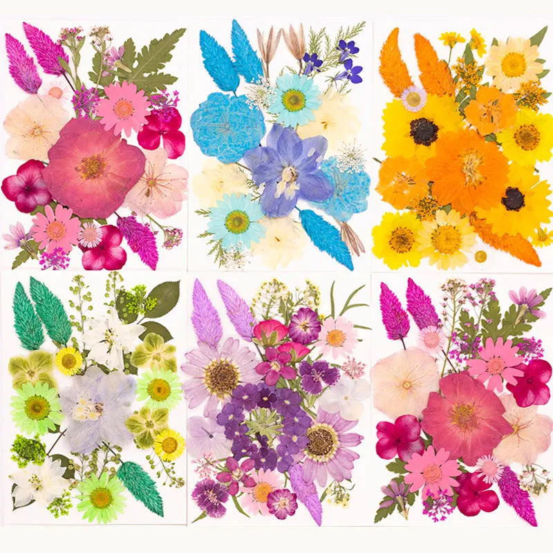 colles fleurs séchées multicolores artisanales décoration maison intérieure création bijoux coques téléphone
