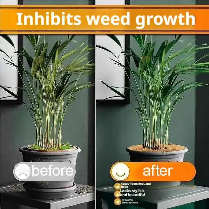 disque fibreux coco protection plantes intérieur extérieur tapis organique pots fleurs naturel rustique