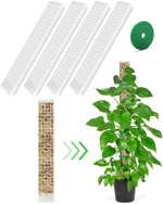 support croissance plantes vertes moderne adhésif pliante pot éco compatibleintérieurextérieur