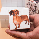 cubes imprimés chiens portraits paysages urbains puzzle décoration enfant jouet moderne blanc marron