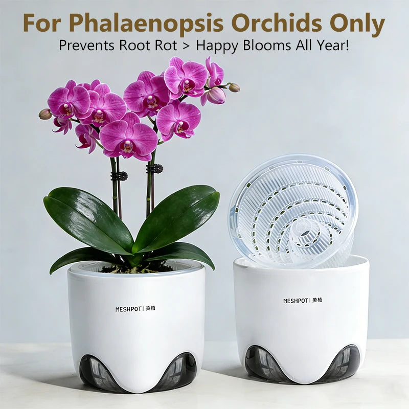 pots orchidées blancs modernes perforations ventilation racines aérationintérieurexterne
