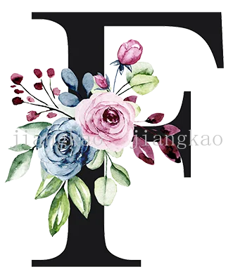 taies d'oreiller lettre stylisée moderne élégantes imprimées fleurs feuillage blanc respectueuses environnement 45cm 45cm