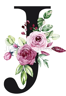 taies d'oreiller lettre stylisée moderne élégantes imprimées fleurs feuillage blanc respectueuses environnement 45cm 45cm