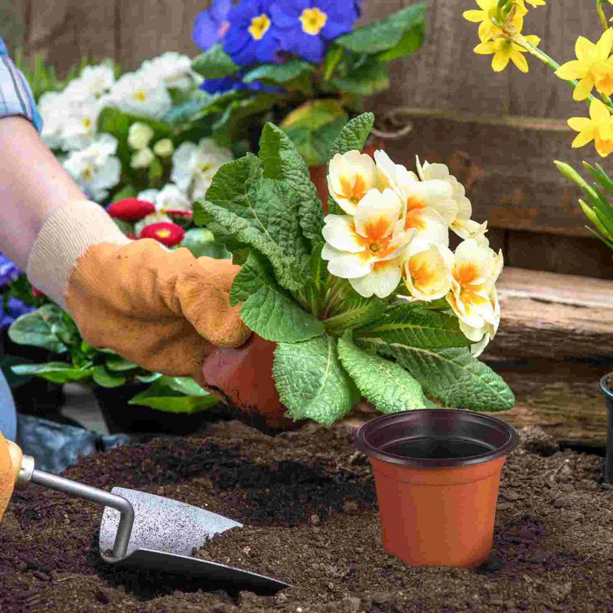 Pots de fleurs rouges avec plantes vertes sur rebord de fenêtre