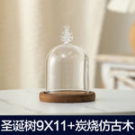 cloche verre transparent base bois bougie parfumée pinçon décoratives