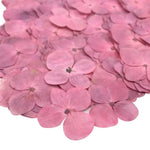 décoration intérieure fleurs artificielles couleurs variées motifs végétaux opaques bricolage coquilles téléphones