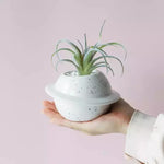 cache pot céramique bleu clair points noirs moderne plante succulente glacé