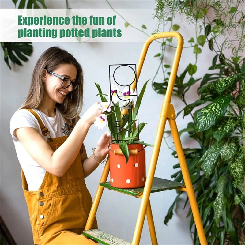 Support vigne en fer brun pour jardin