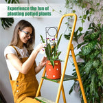 Support vigne en fer brun pour jardin