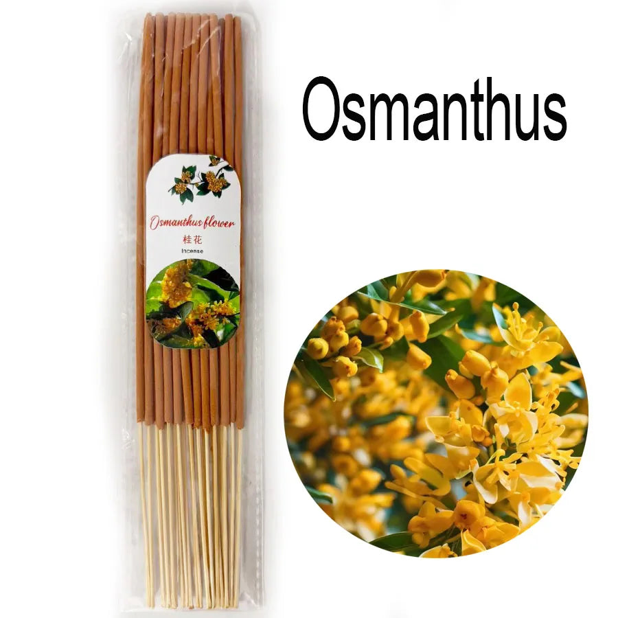 bâtonnets d'encens traditionnels bois santal parfums fleurs herbes intérieur maison