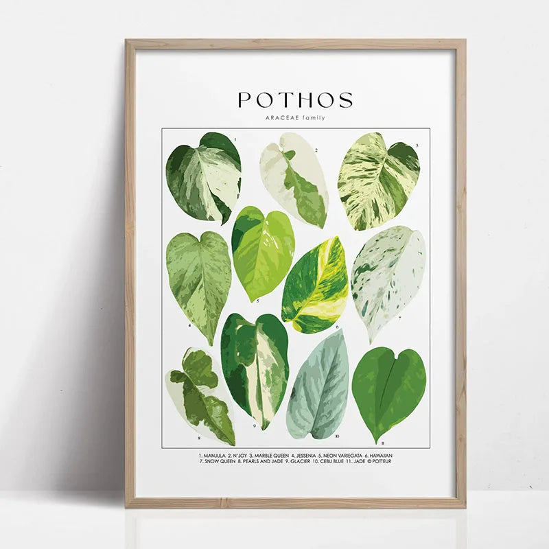 affiches art botaniques illustrations feuilles tropicales moderne intérieur salon chambre verte