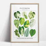 affiches art botaniques illustrations feuilles tropicales moderne intérieur salon chambre verte