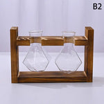 support plantes cadre bois marron verre transparent modernes vases coeurs plantes vertesintérieur décoration minimaliste