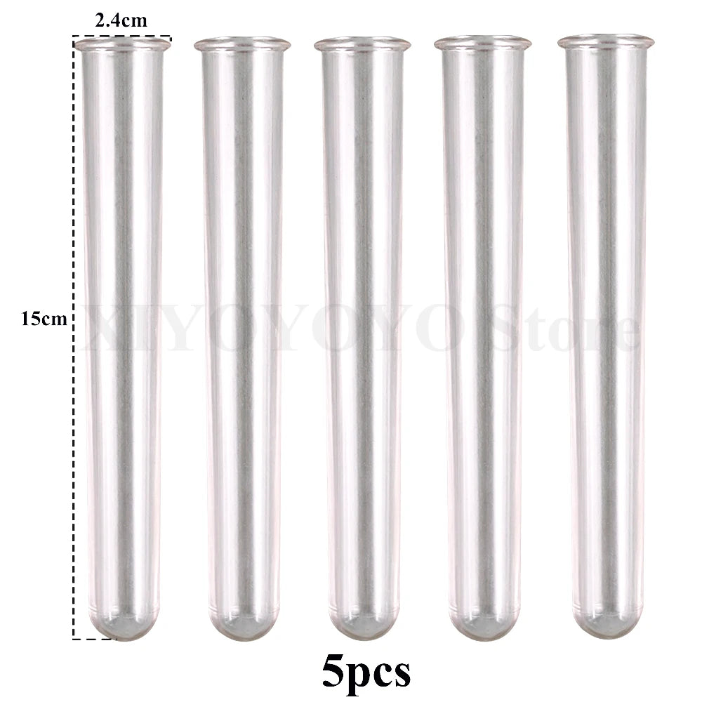 vases tubes essai transparent blanc bleu violet orange decoration maison hydroponie plantes fabrication minimaliste