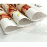 affiches art minimaliste paysages marins plumes feuilles beige blanc gris bleu clair toile opaques