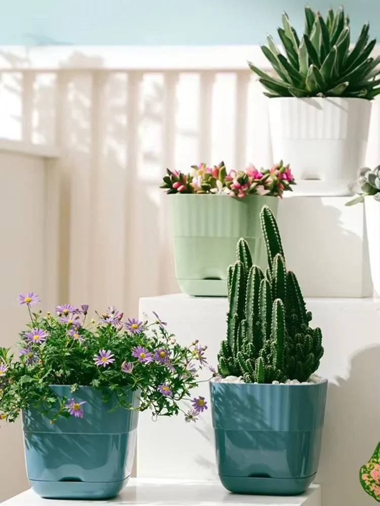 pots plante plastique moderne rayures blanc vert bleu drainage jardin intérieurextérieur