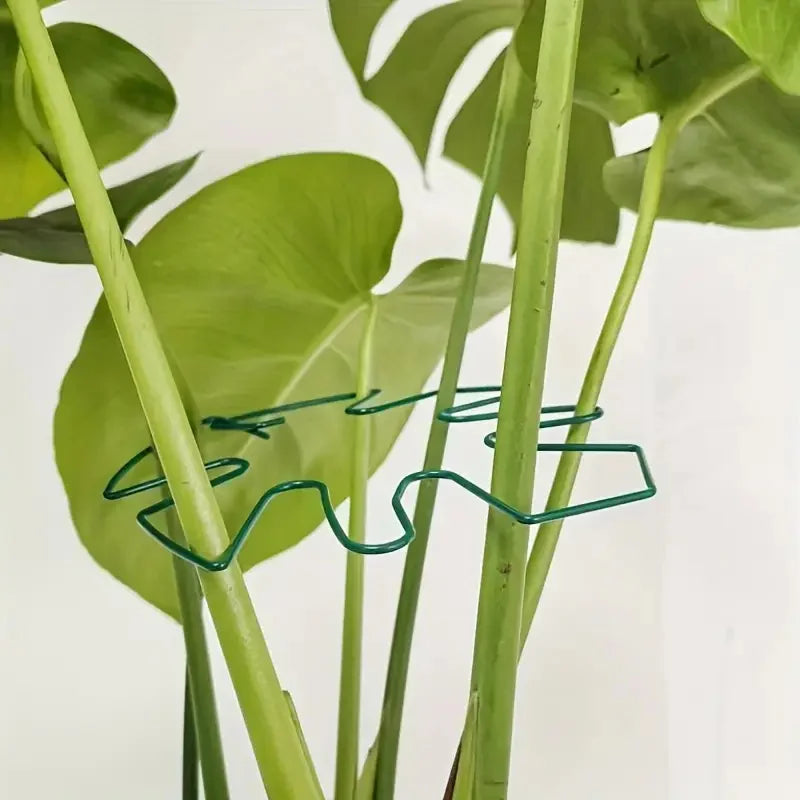 support murale plante acier robuste extérieur intérieur moderne vert doré clips facile