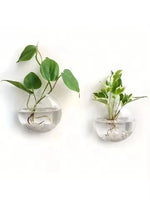 vases suspendus verre transparent modernes minimalistes adhésifs plantes intérieures