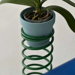 support plante moderne spirale adhésif pots plante vert bleu orange jaune