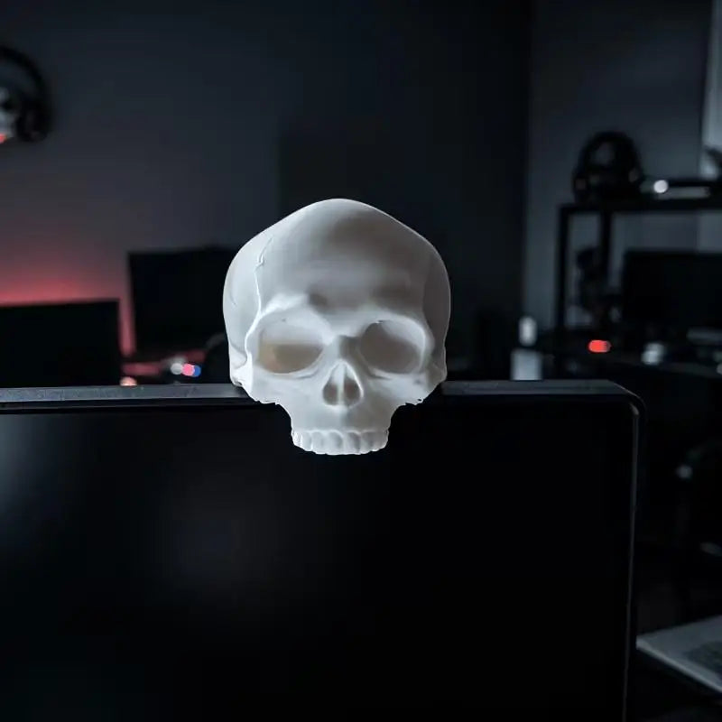 décoration crâne blanc noir réaliste gothique ornement accessoire pc ambiance salle jeu