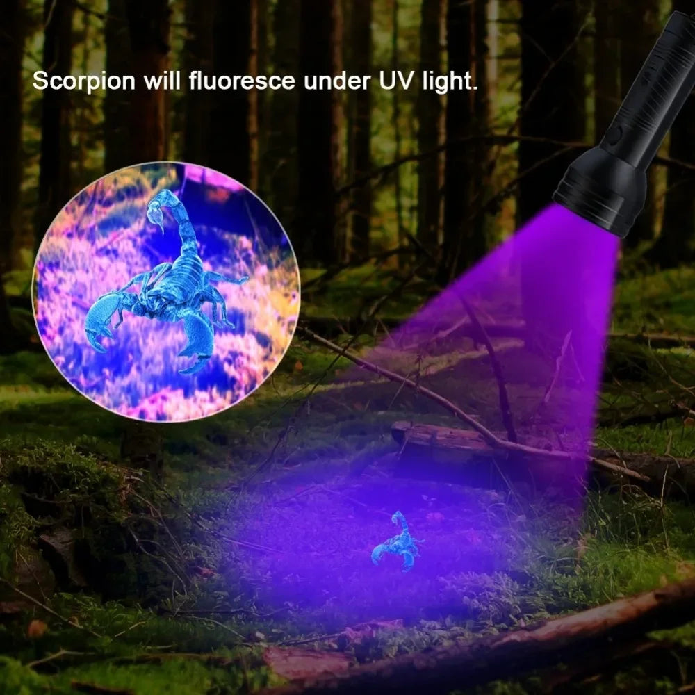 lampe torche uv noir texturée moderne cordelette détecteur urinaire animaux étancheurgence nail dryer 350
