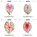 coasters feuilles tropicales vert blanc rose moderne respectueux environnement set 4pcs 5pcs