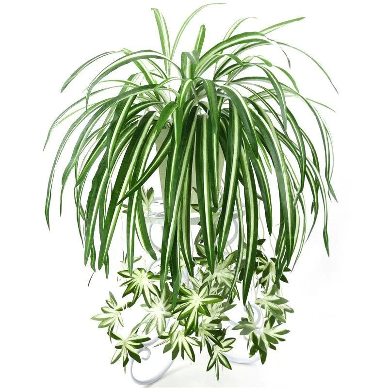 plantes artificielles fougères vertes extérieures décoration végétale arches tropicales feuillets blancsétales longues