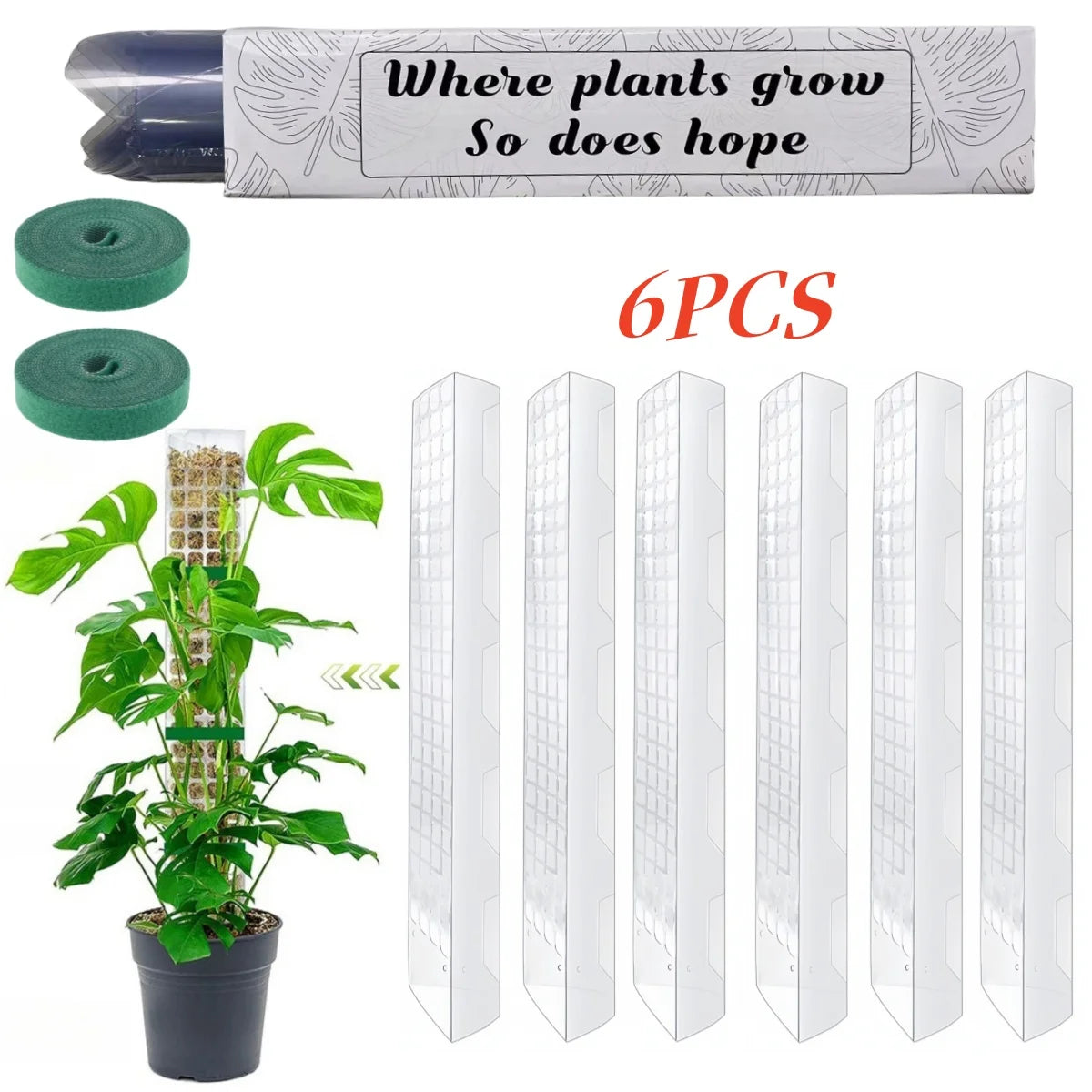 poteau mousse plastique transparent moderne 24 pouces adhésif support plante grimpanteintérieur