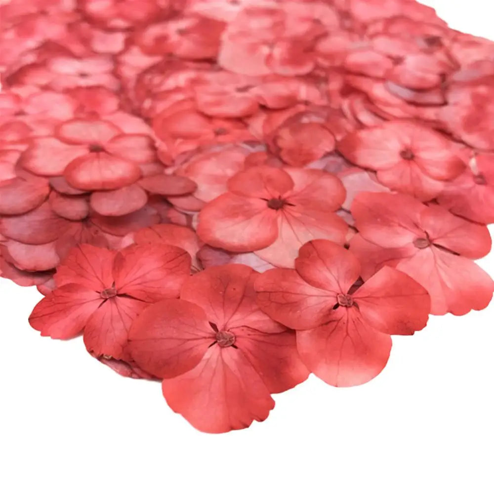 décoration intérieure fleurs artificielles couleurs variées motifs végétaux opaques bricolage coquilles téléphones