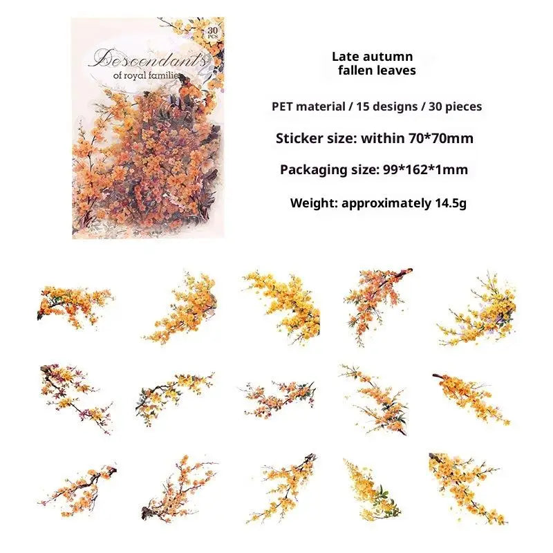 décorations florales séchées naturelles violettes roses vertes orangées blanches plantes fleurs