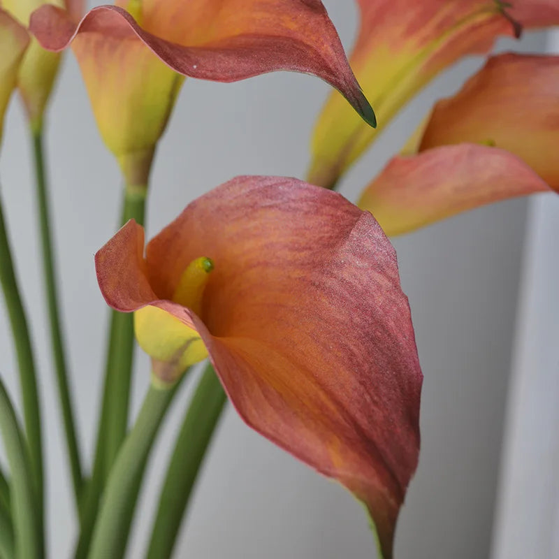 fleurs artificielles calla lily blanc rose orange vases transparents mariage anniversaireintérieurDecorationMinimaliste