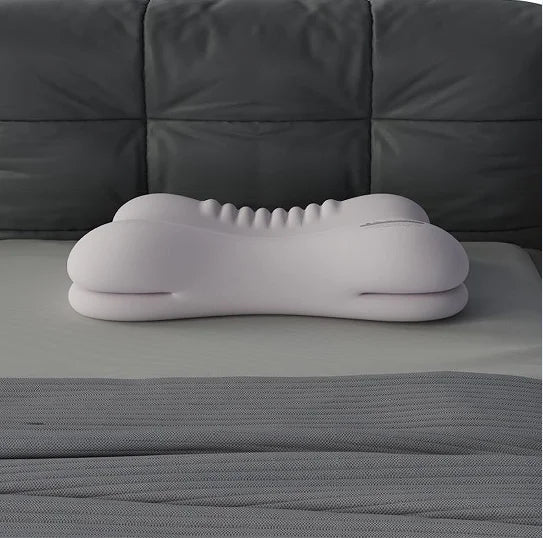 oreiller ergonomique mousse mémoire forme polyester gris clair moderne support cou lit catégorisation mémoire