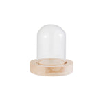 cloche verre transparent moderne base bois naturel boîte rangement fleurs minimalistes différentes tailles