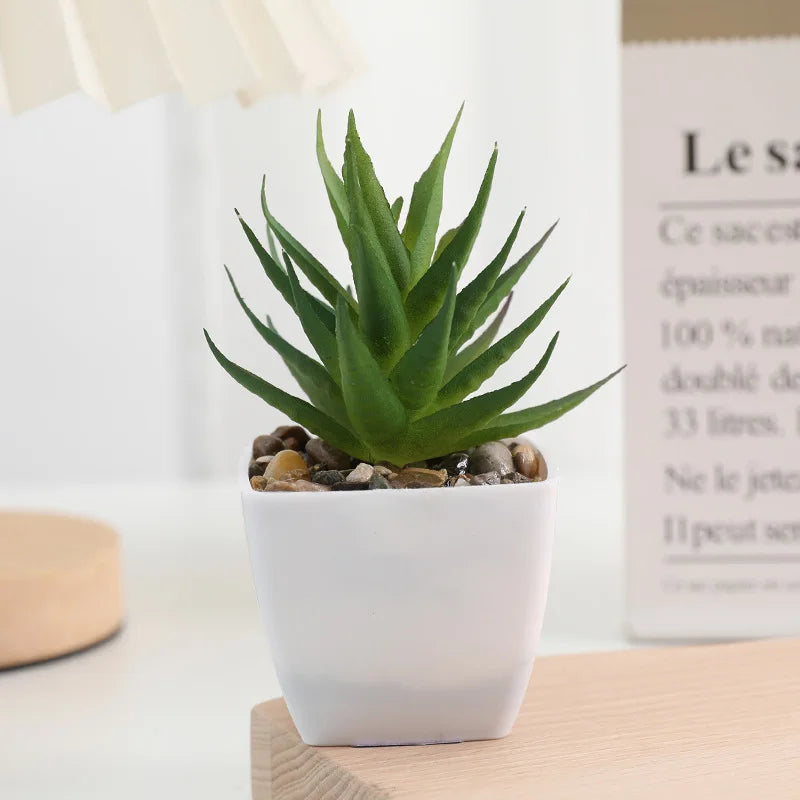 plantes succulentes artificielles vert rouge marron moderne minimaliste intérieur décoration maison