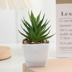 plantes succulentes artificielles vert rouge marron moderne minimaliste intérieur décoration maison