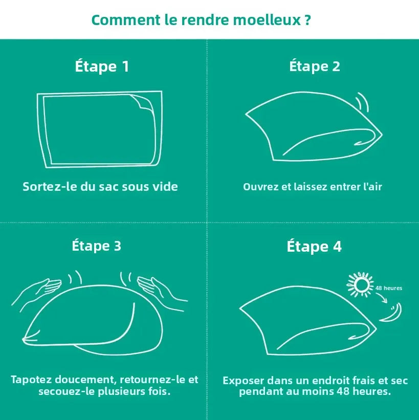 coussin plumes d'oie coton blanc uni moderne non amovible lavable 30x50 35x50 40x40